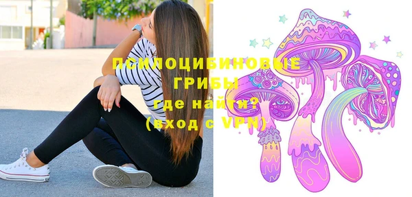 сатива Нягань