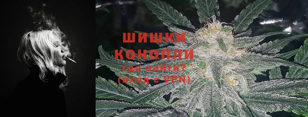 сатива Нягань